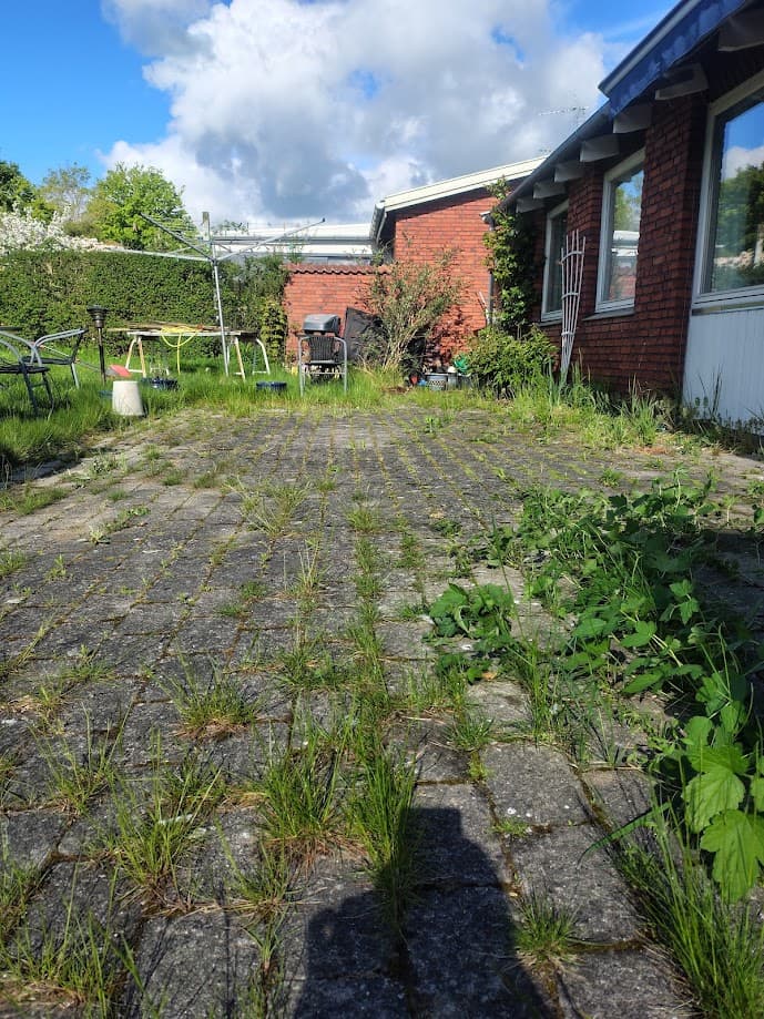 Ukrudt mellem fliser – sådan slipper du af med det for godt